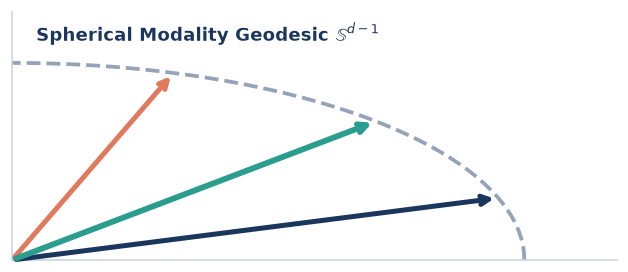 Spherical Modality Geodesic